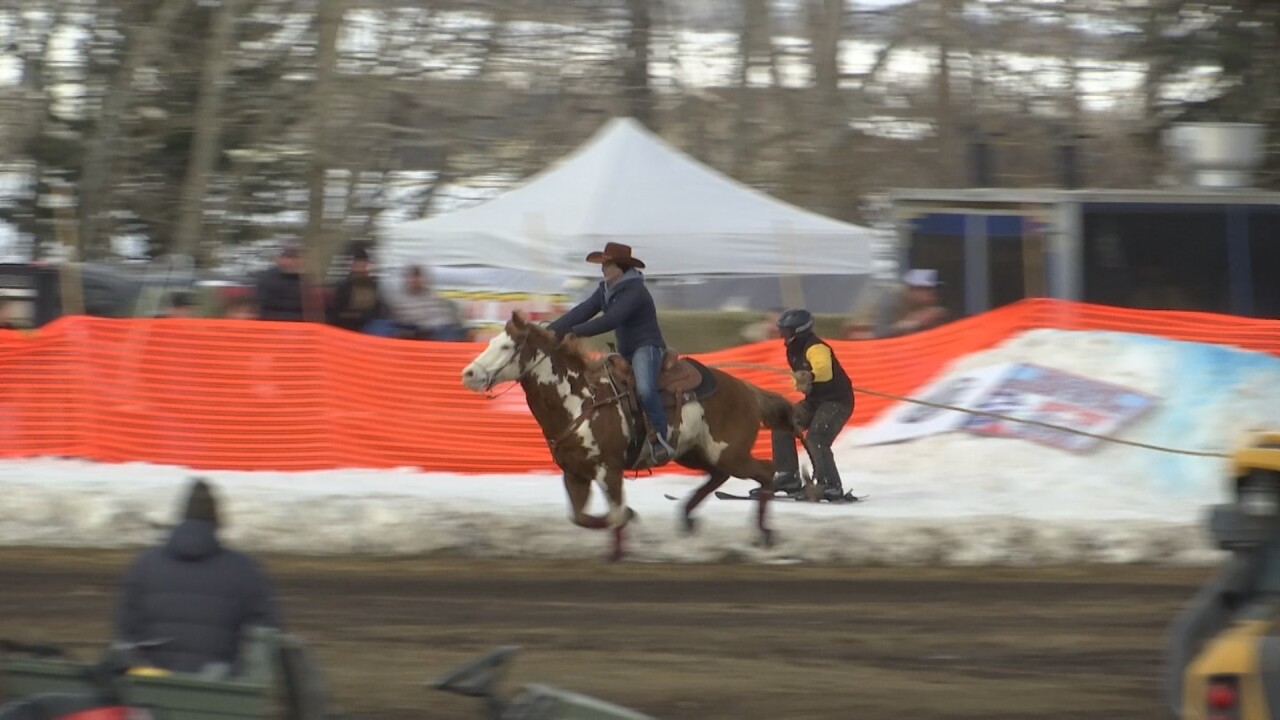 031322 SKIJORING_2.13.1.jpg