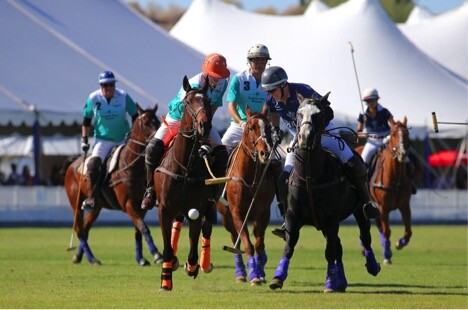 Polo