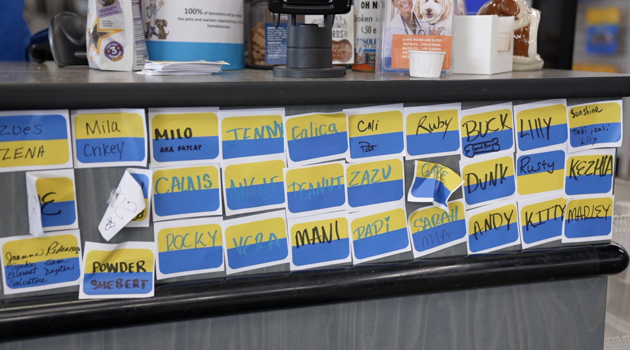 Soldan's Pet Supplies is collecting donations for Ukrainian organizations that help displaced animals.