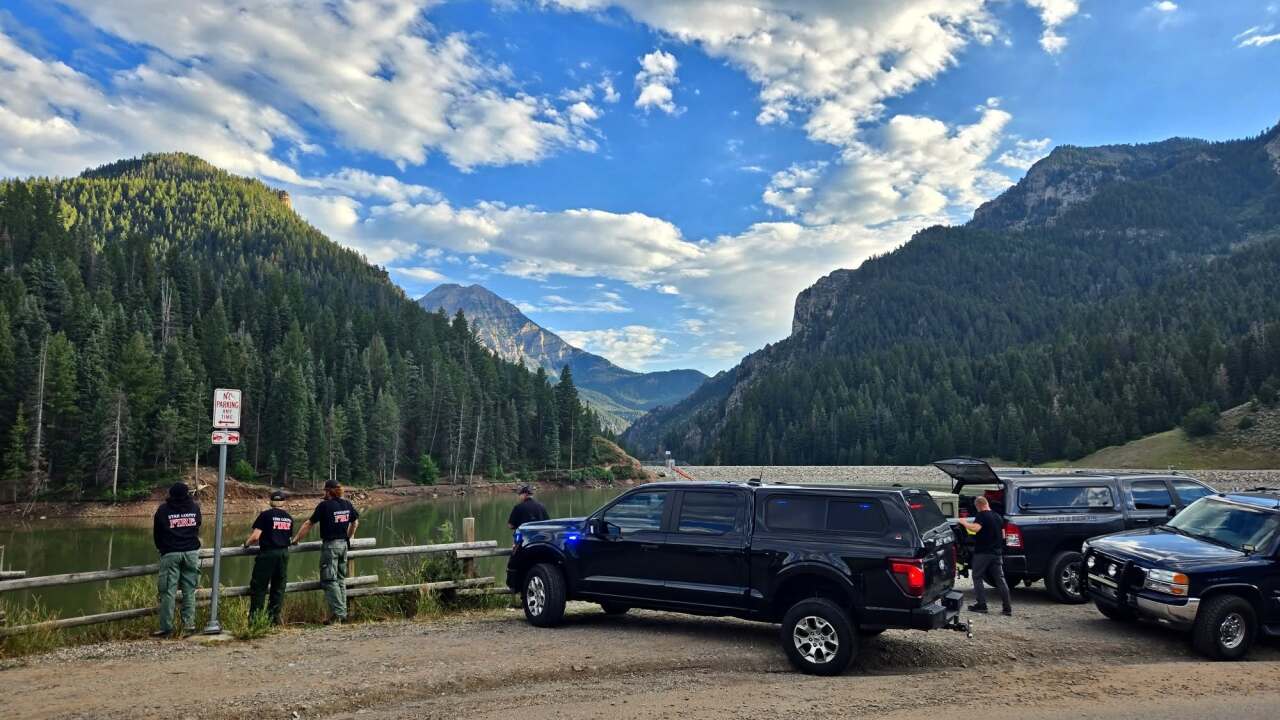 tibble fork sar.jpg