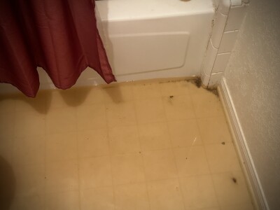 Justin Davidson home flooded in Coryell County