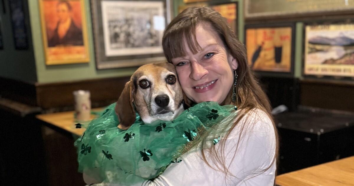 Milwaukee St. Patrick's Day Parade highlights Irish heritage, local non-profits and engineering students