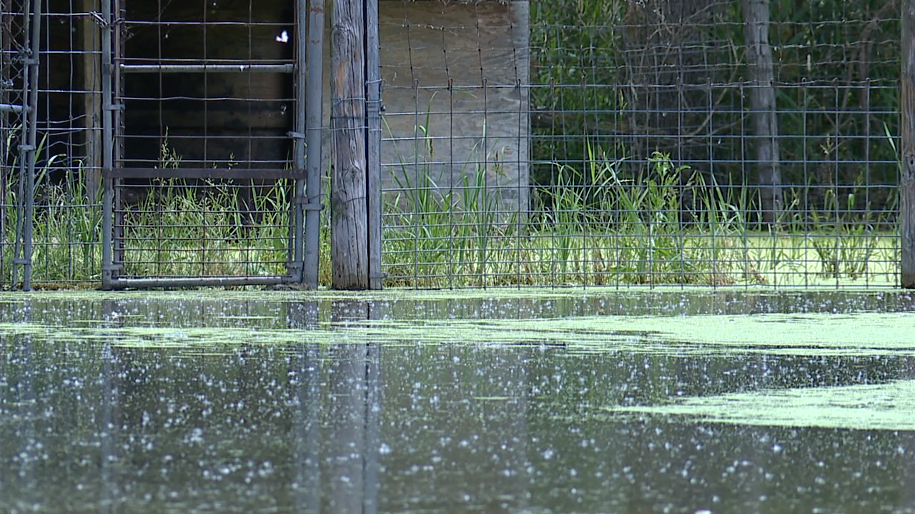 Lagoon Deer Park