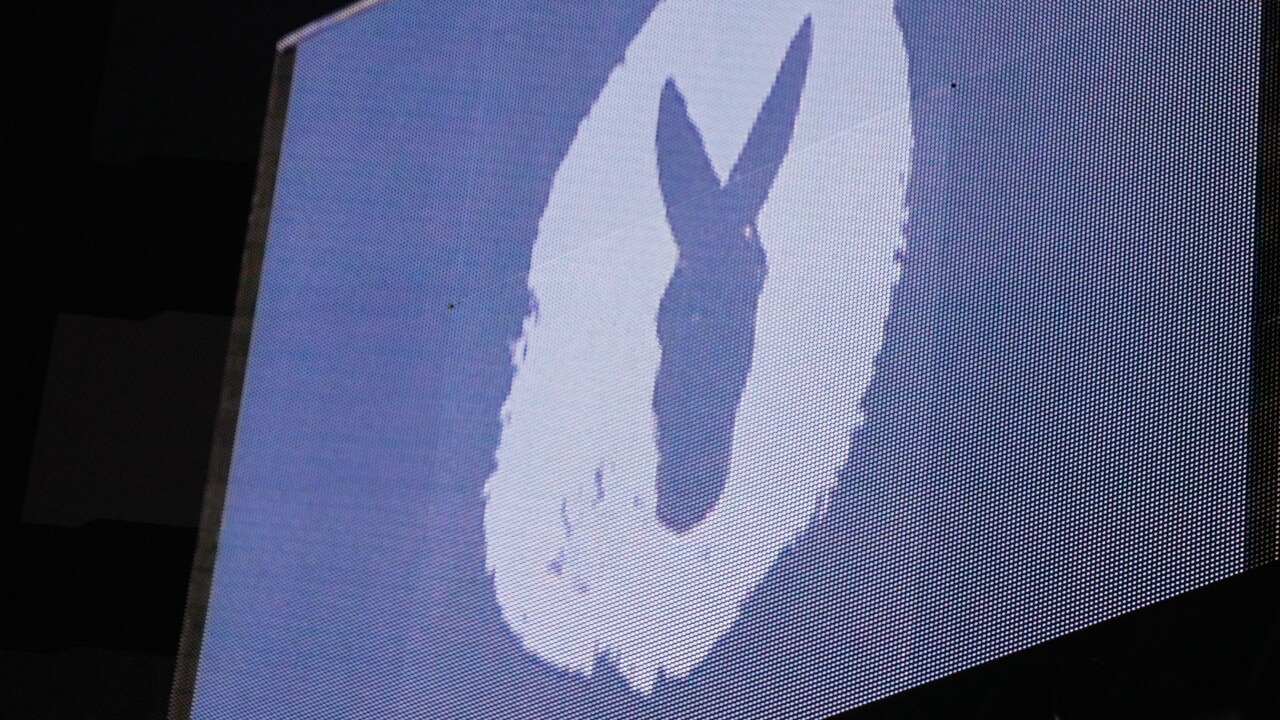 Mansfield-Metcalf Logo