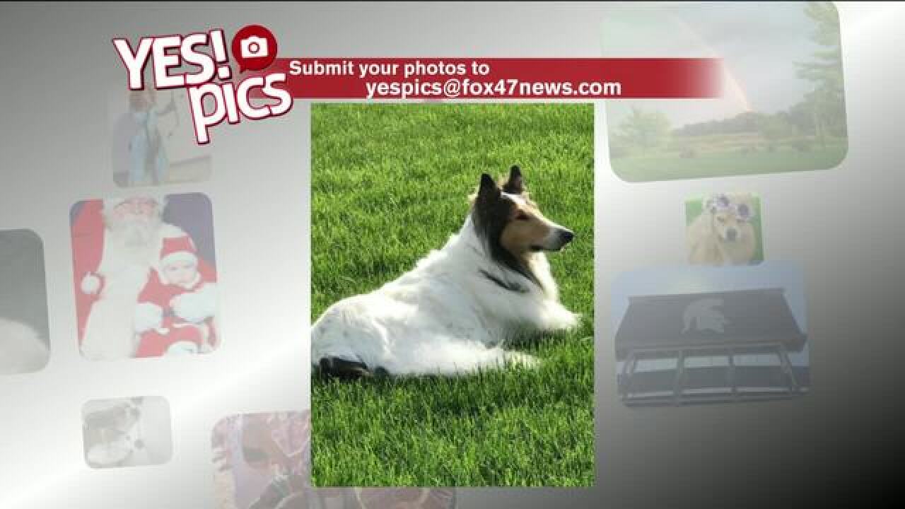 Yes! Pics: 5/30/18