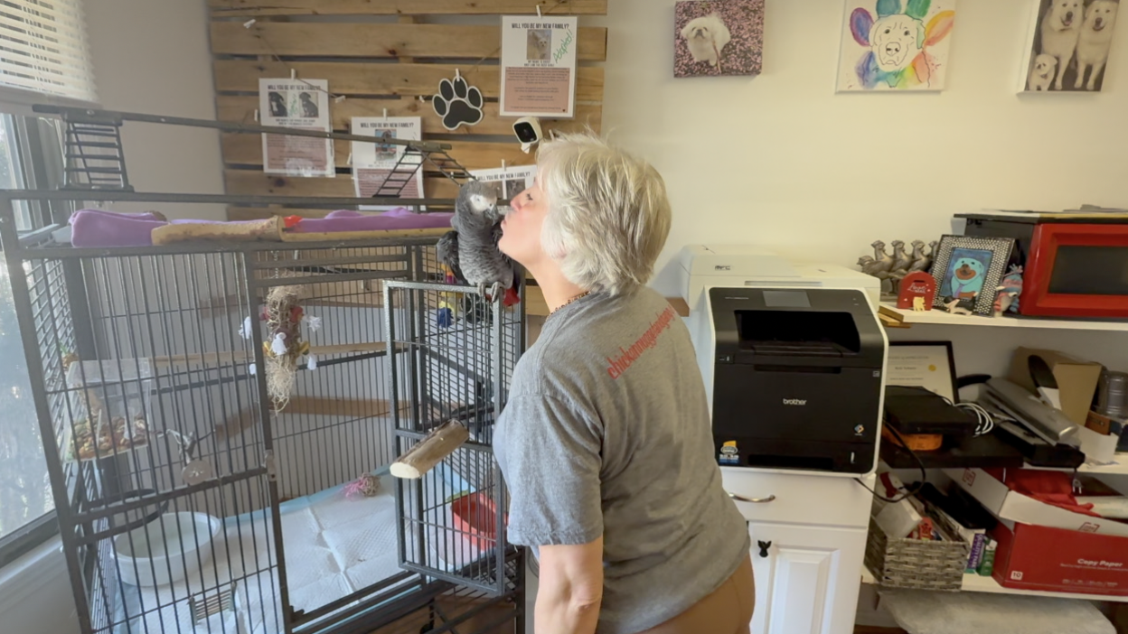 Screenshot 2025-08-15 at 6.02.26 PM.png