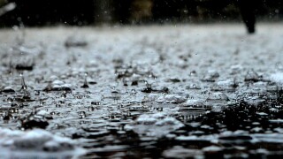 rain