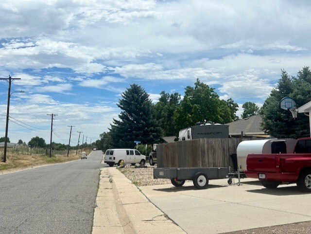 ARVADA PLANE TREE.jpg