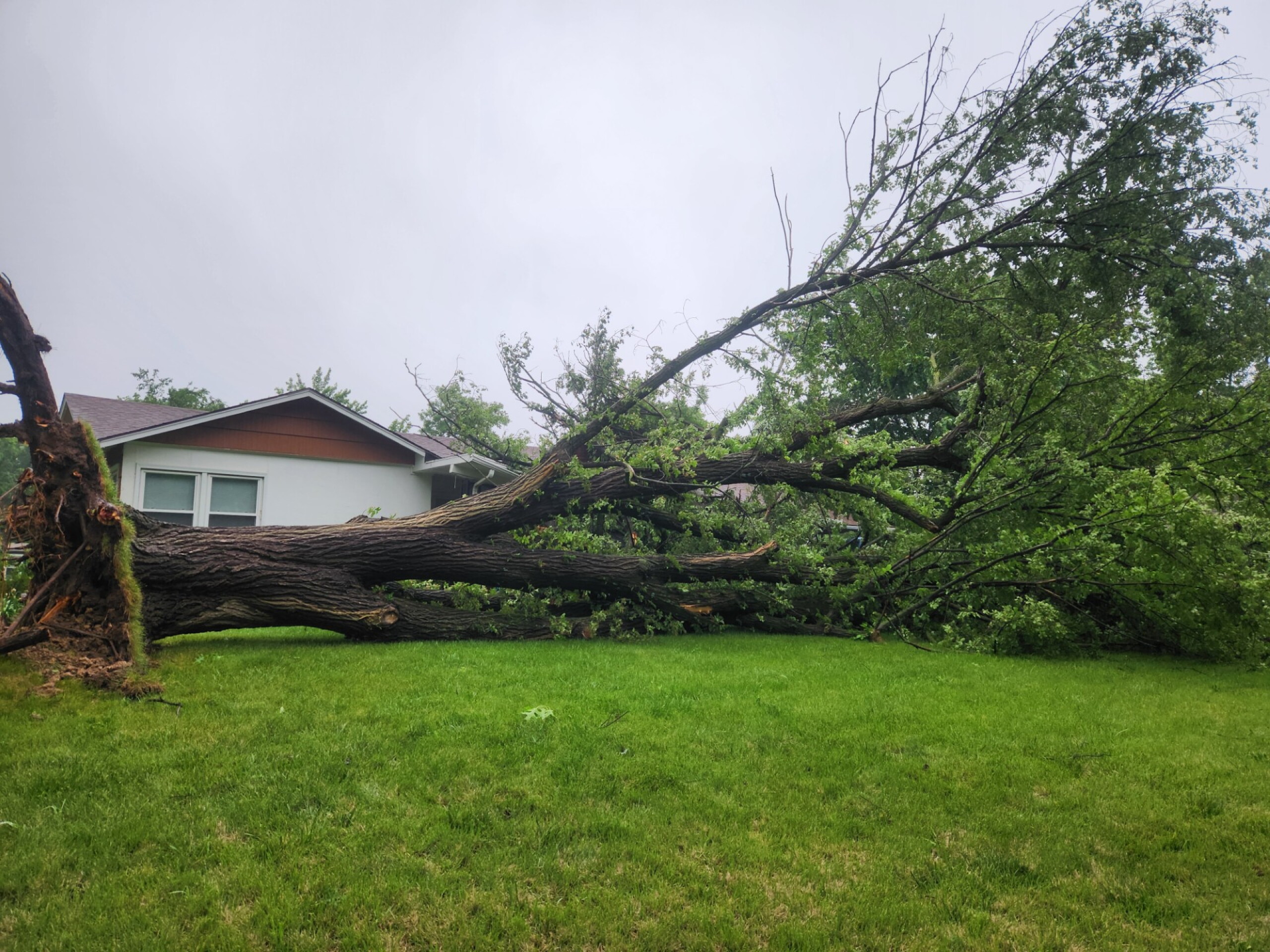 Severe storms roll through Kansas City, leaving thousands without power