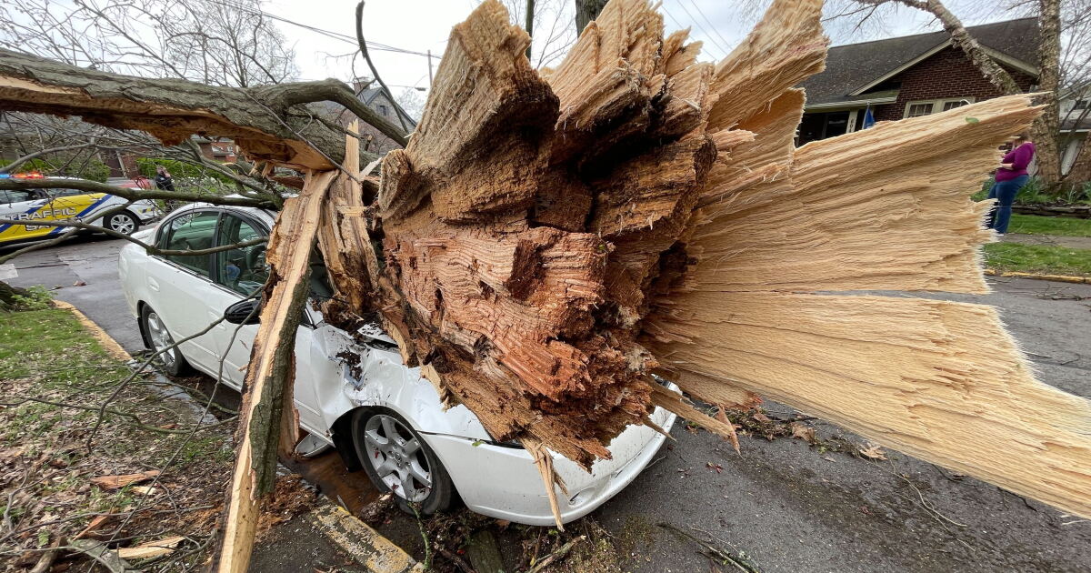 Mayor Linda Gorton provides update on storm damage in Lexington - Vimarsana News