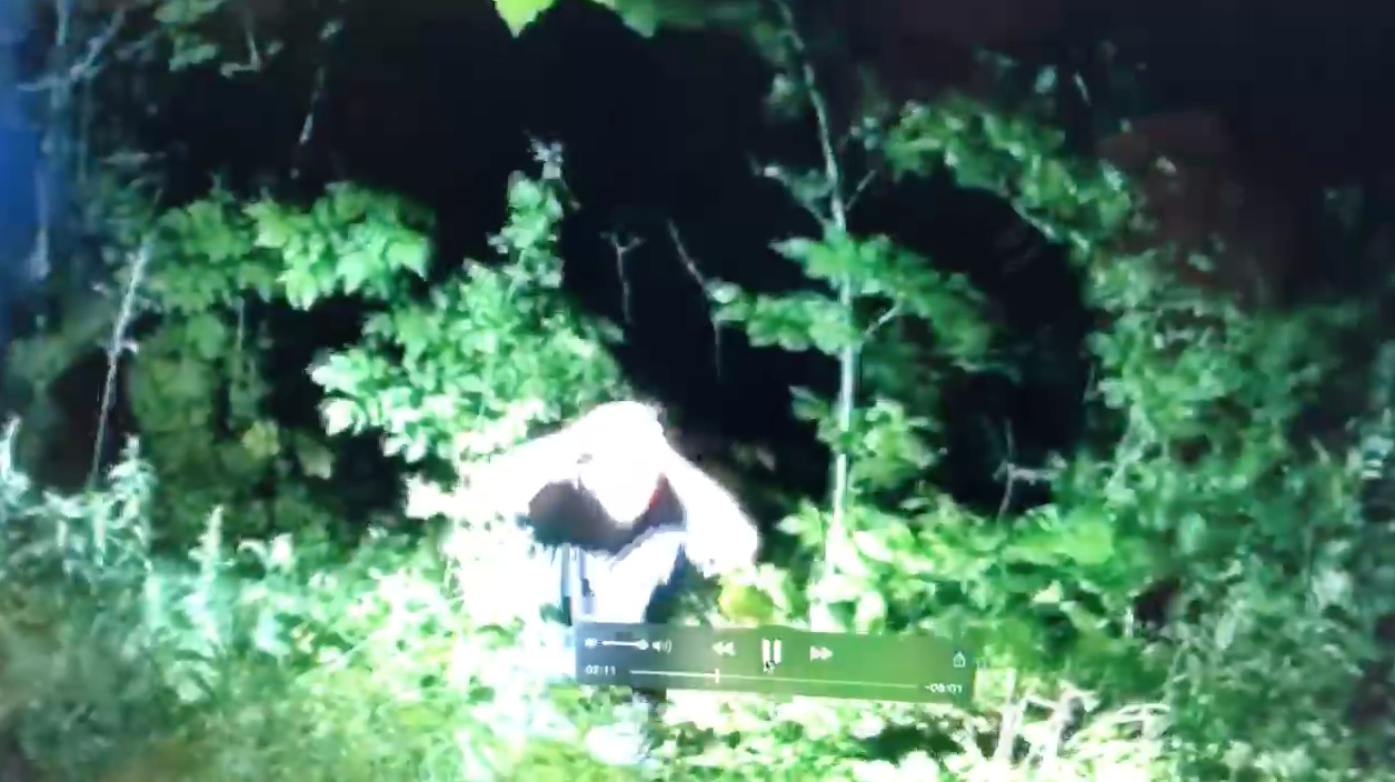Footage of arrest of Robert Dick in a wooded area in West Salem.