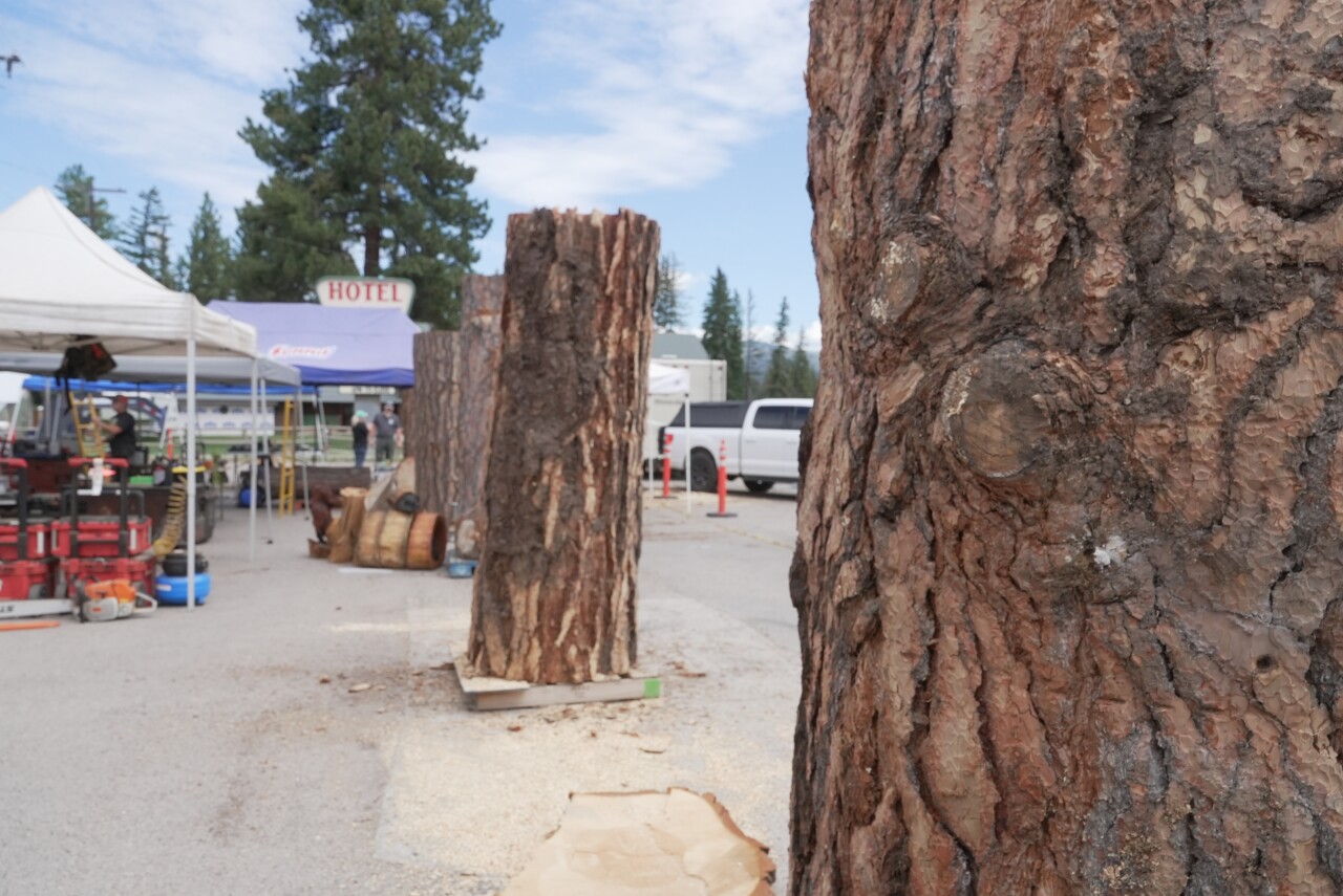 logs