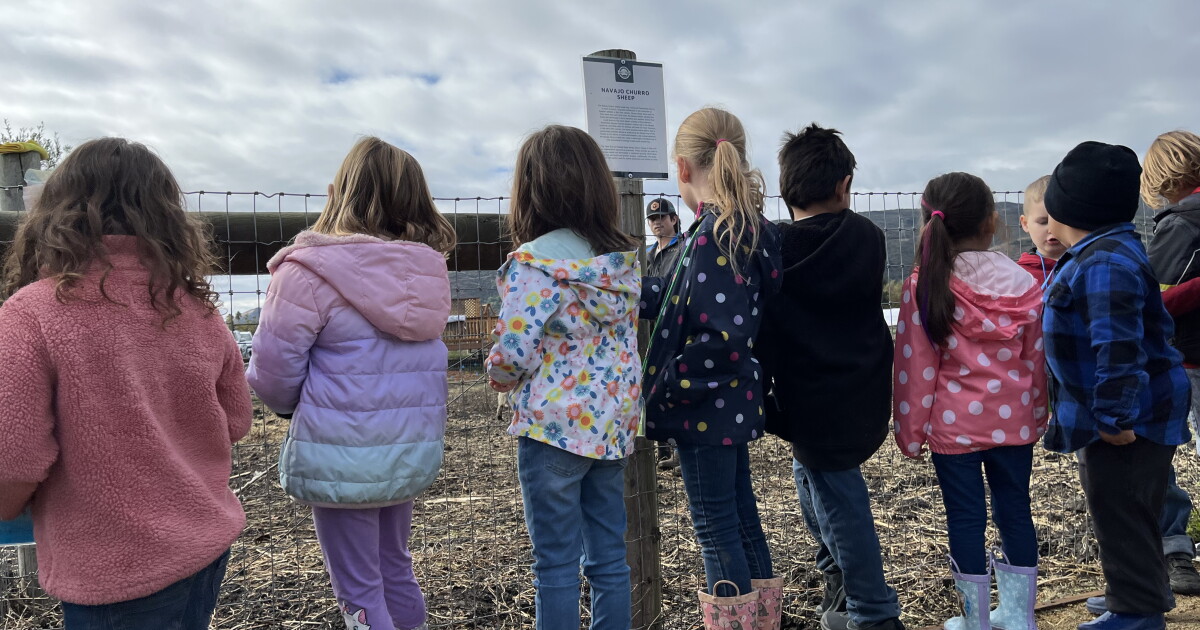 City Farm SLO cultivates a love for farming in young minds - Vimarsana News