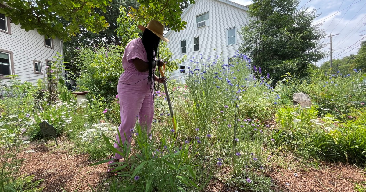 Norfolk woman's passion project blooms into network of gardens and business