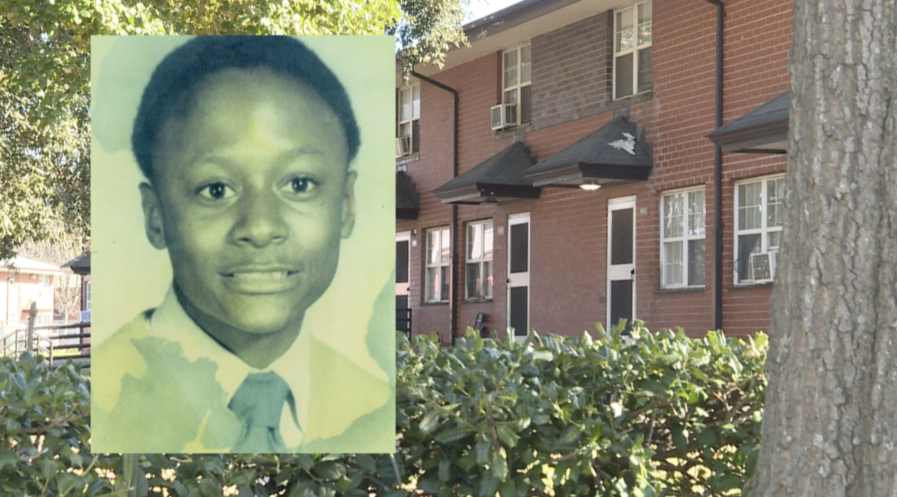 Wilkins Young Terrace