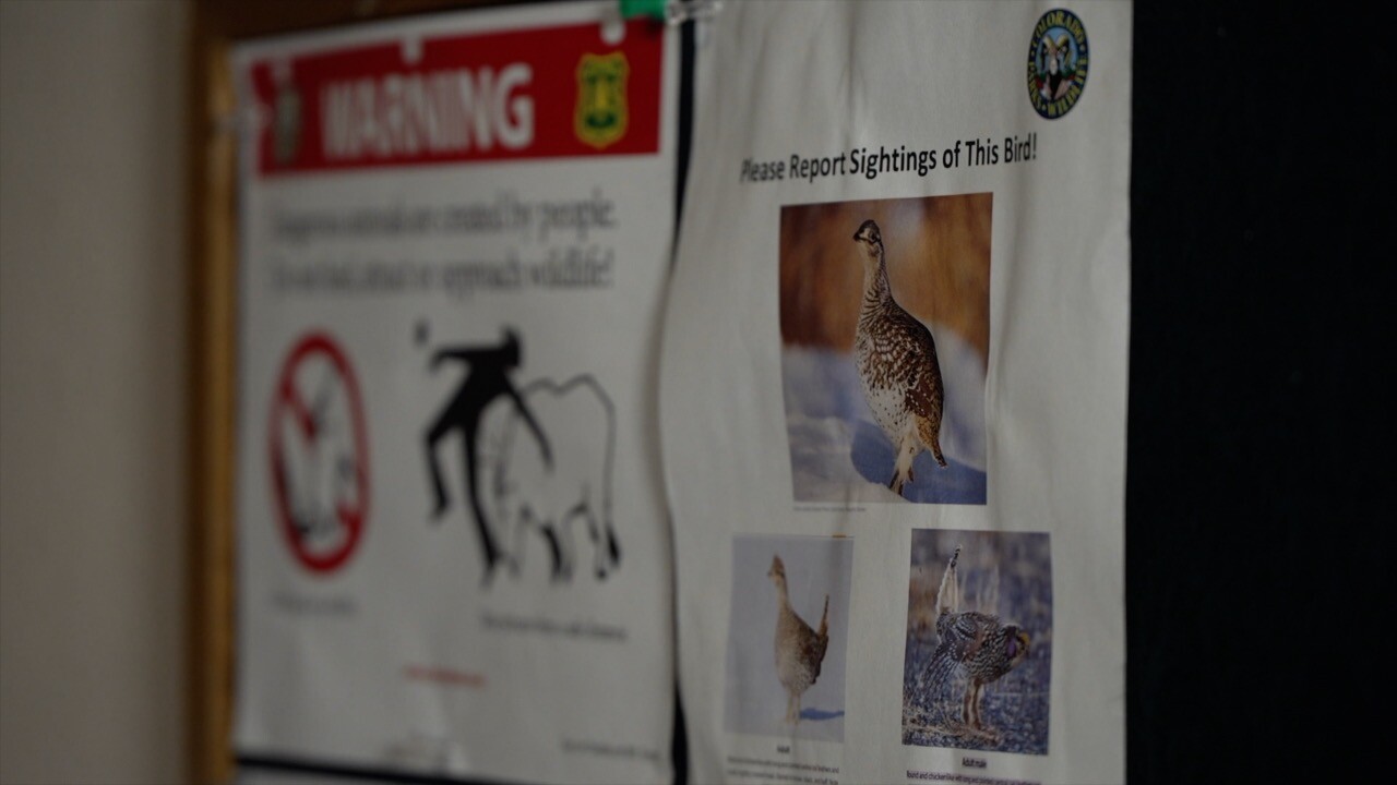 Poster at Roxborough.jpg