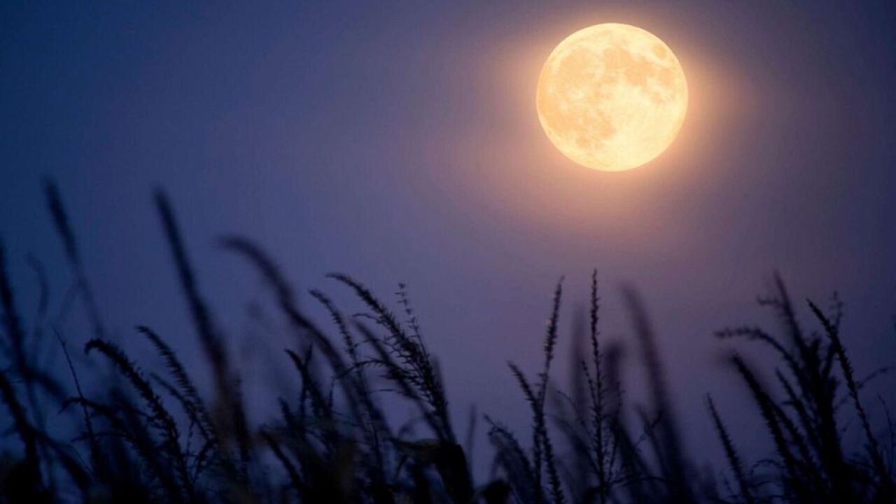 Rare Harvest Moon Will Happen On Friday The 13th