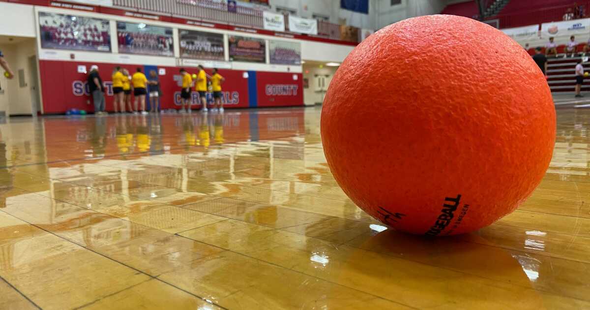 Dodgeball tournament raises money for domestic violence, homelessness