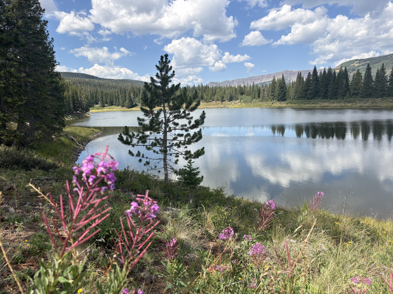 Rams Horn Lake & Wood Lake