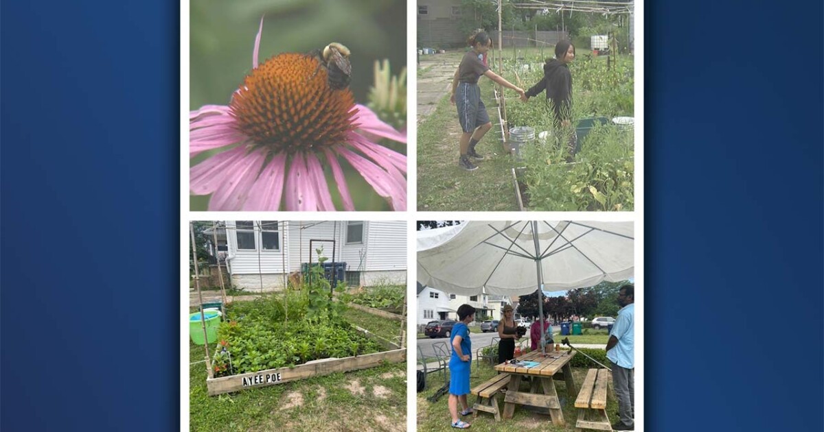 Neighbors transform a vacant lot into gardens and common spaces