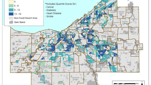 EAST CLEVELAND DISEASE DEATHS.jpg