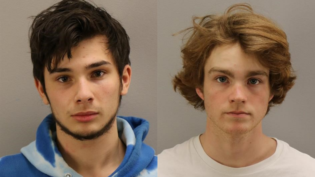 Multiple arrest made after two Virginia Beach hotels vandalized with