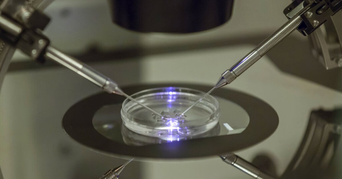 Tennessee lawmakers react to Alabama court's ruling impacting IVF