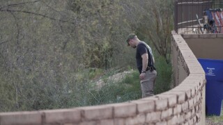 Savannah Guthrie-Mom Missing