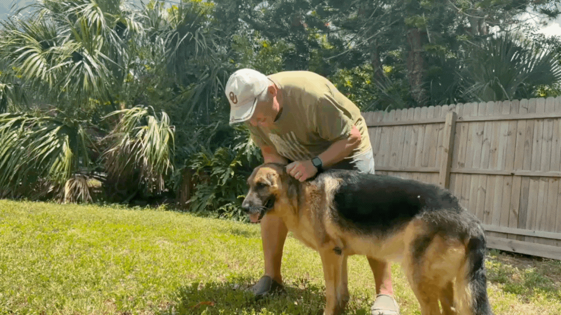 Untitled design (2).gif