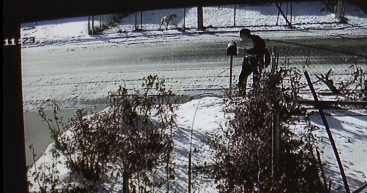 New video shows mailman walking across street to intentionally pepper