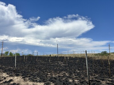 Airport Fire in Douglas County