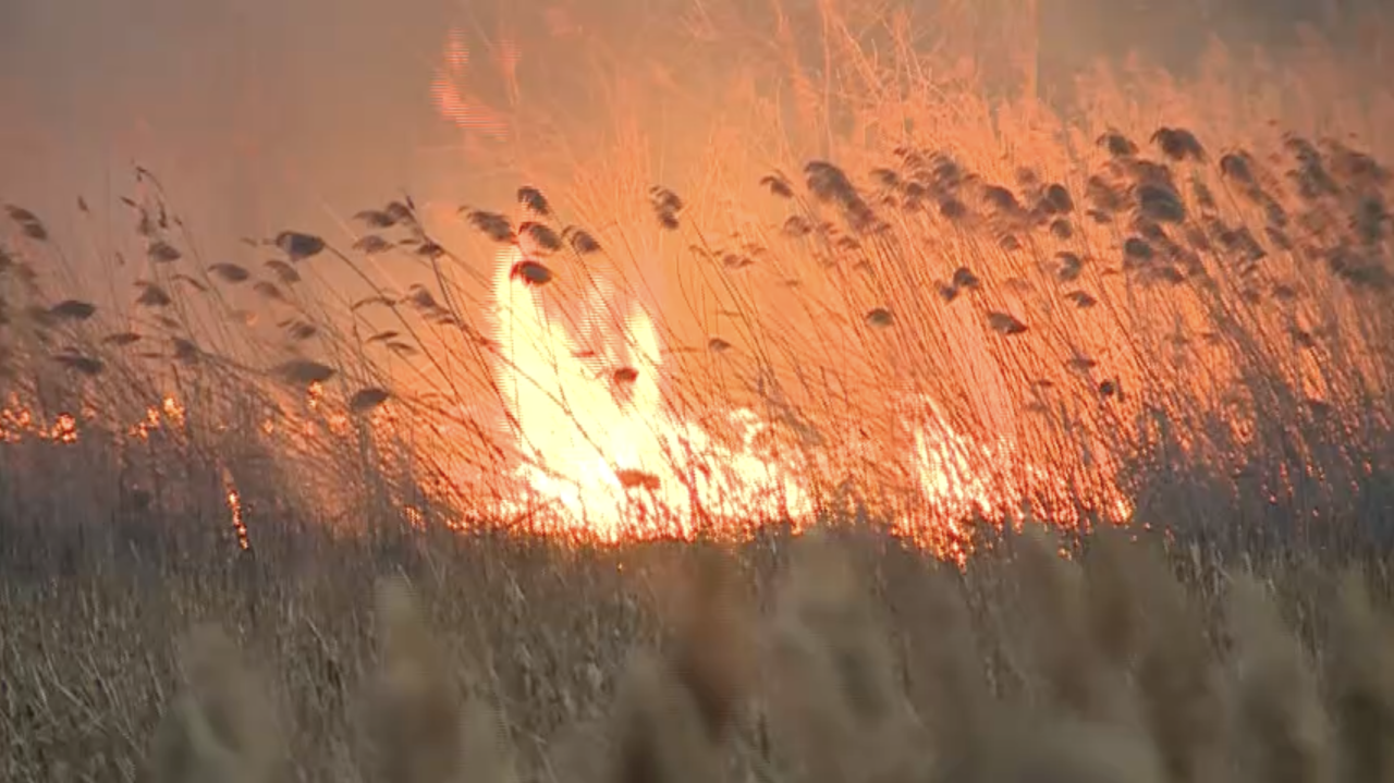 Sunshine Lake fire.png