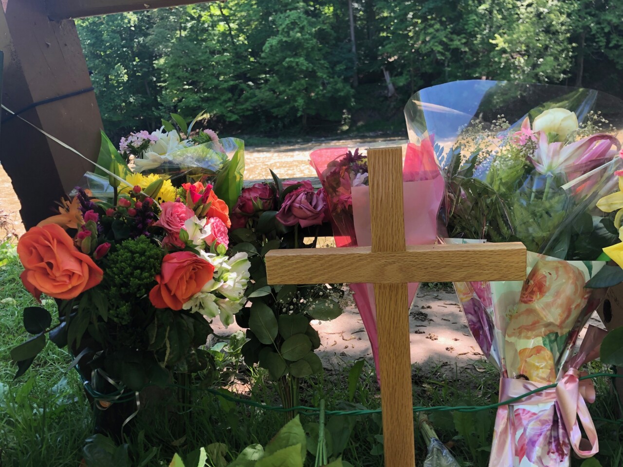 metroparks murders 1