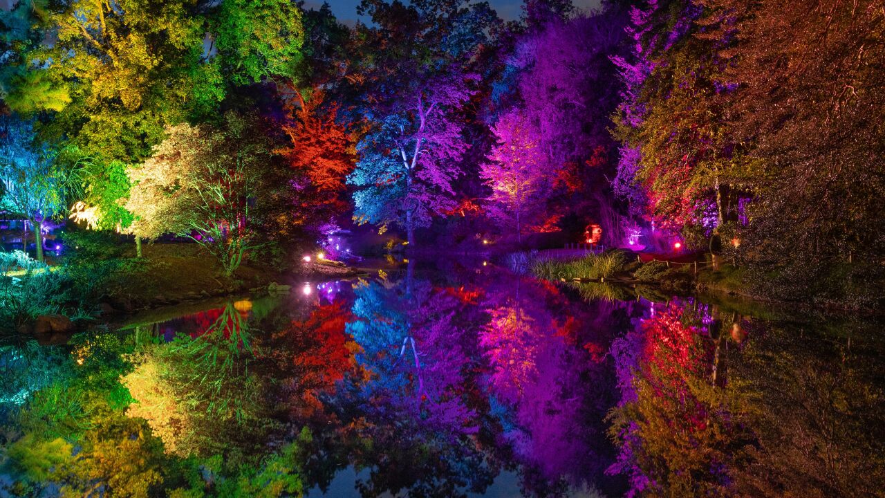 'Interactive' Garden Glow shines at Maymont