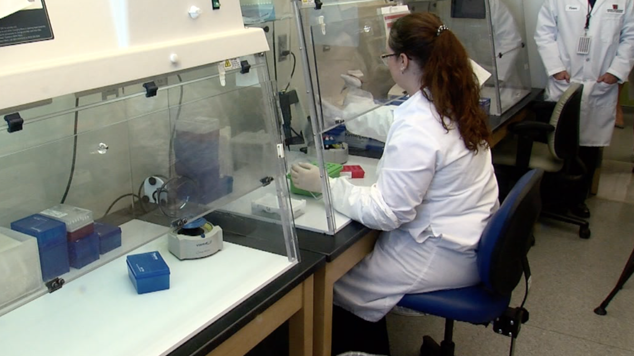 Coronavirus testing in Arizona