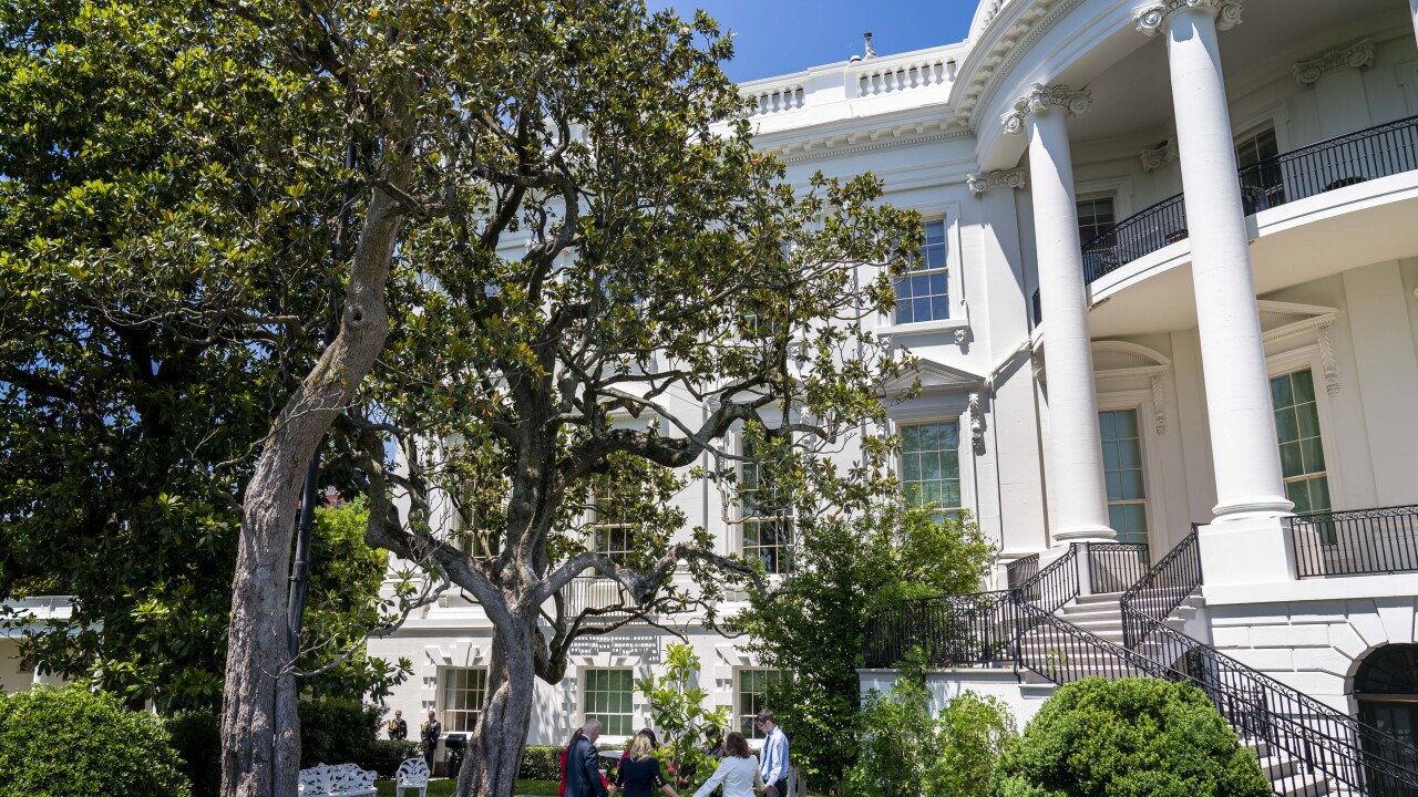 Historic tree to be cut down at the White House over safety concerns