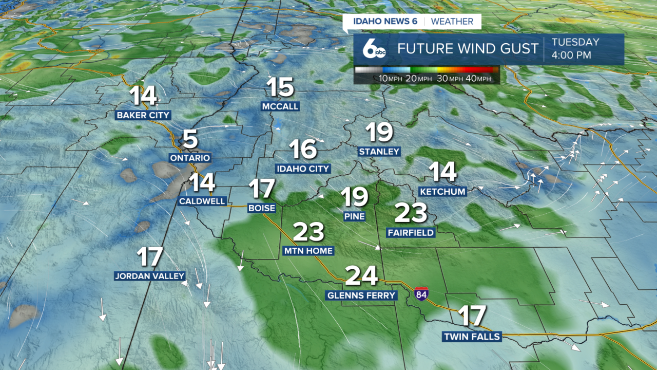 Future wind gusts