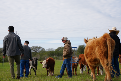 STRF PHOTO - 1 (2).png