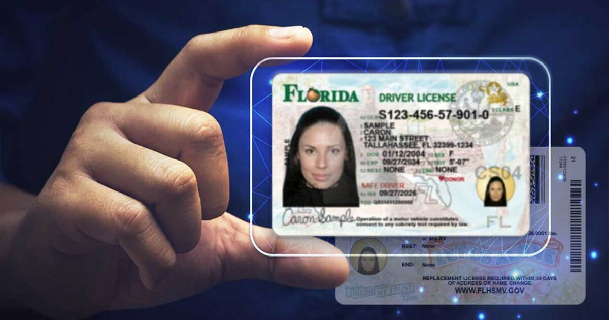 Florida rolls out redesigned driver's licenses with new imagery at service centers statewide