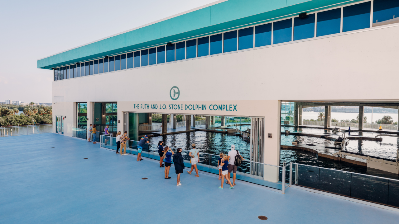 Clearwater Marine Aquarium unveils $80 million expansion - ?url=http:%2F%2Fewscripps Brightspot.s3.amazonaws.com%2F45%2F93%2FDb9b045046a2bfa5718a1132DfD4%2Fclearwatermarineaquarium5 Clearwater Marine Aquarium unveils $80 million expansion - ?url=http:%2F%2Fewscripps Brightspot.s3.amazonaws.com%2F45%2F93%2FDb9b045046a2bfa5718a1132DfD4%2Fclearwatermarineaquarium5