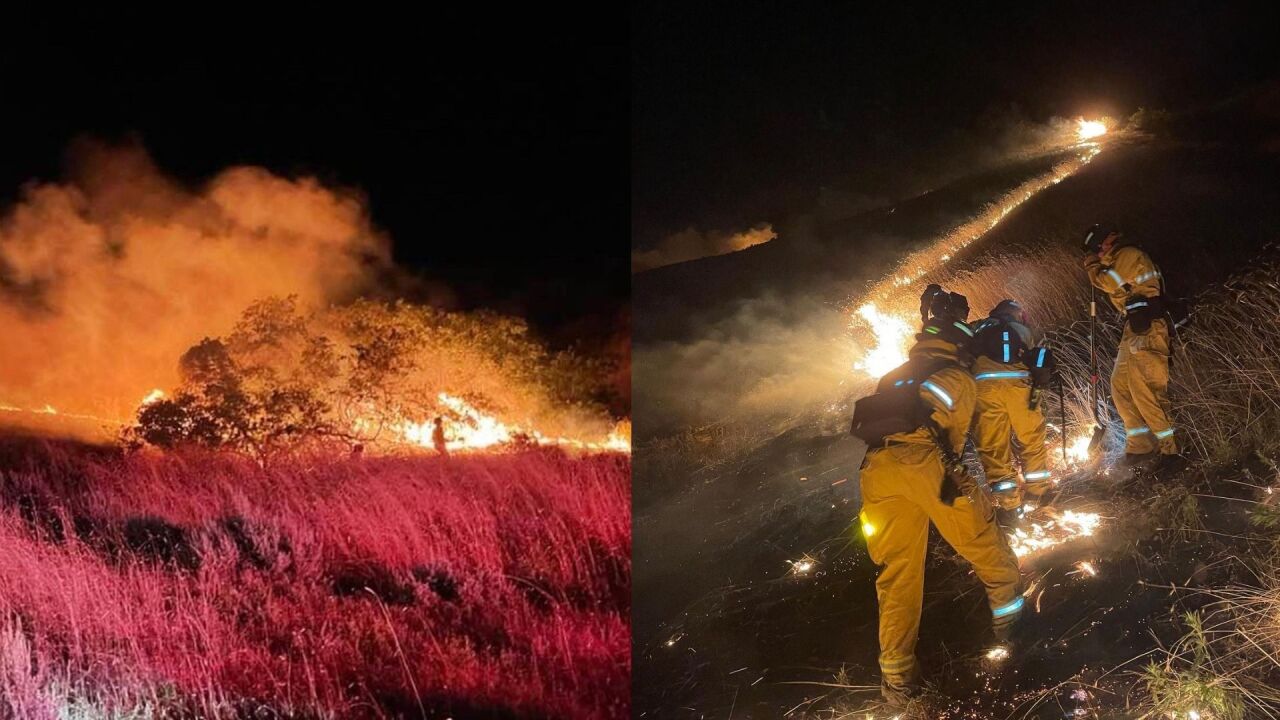 untitled image - 2022-07-04T083028.342.jpg