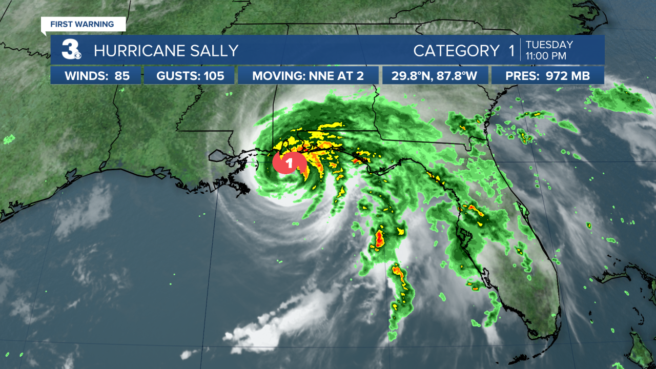 Hurricane Stats Satellite.png