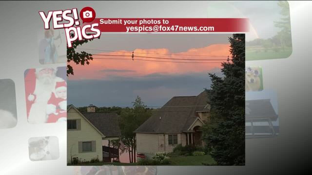 Yes! Pics: 7/31/18