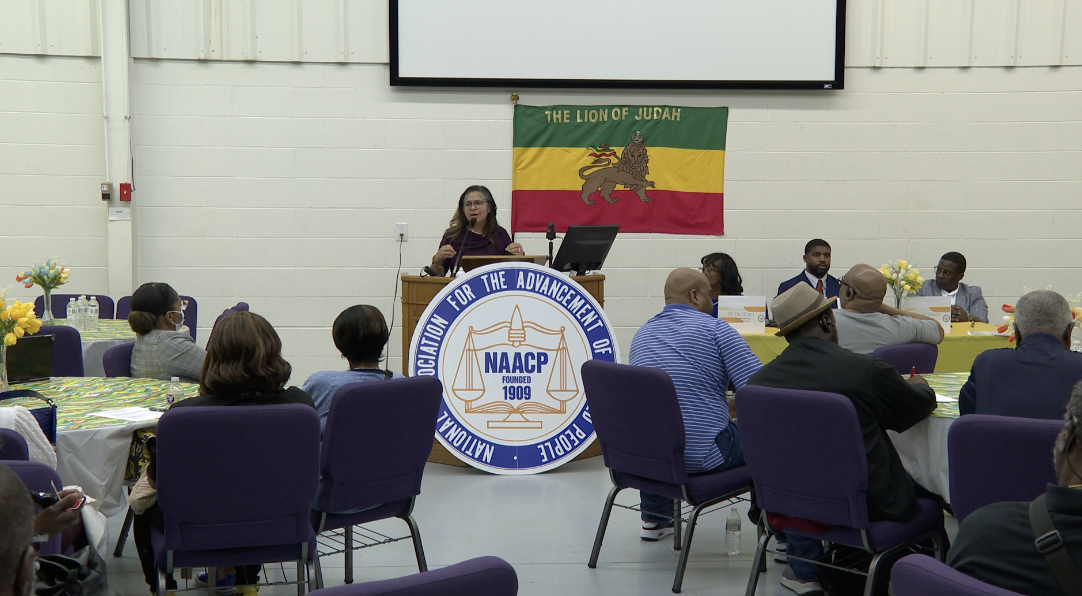 Chesapeake Voting System