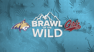 Brawl of the Wild