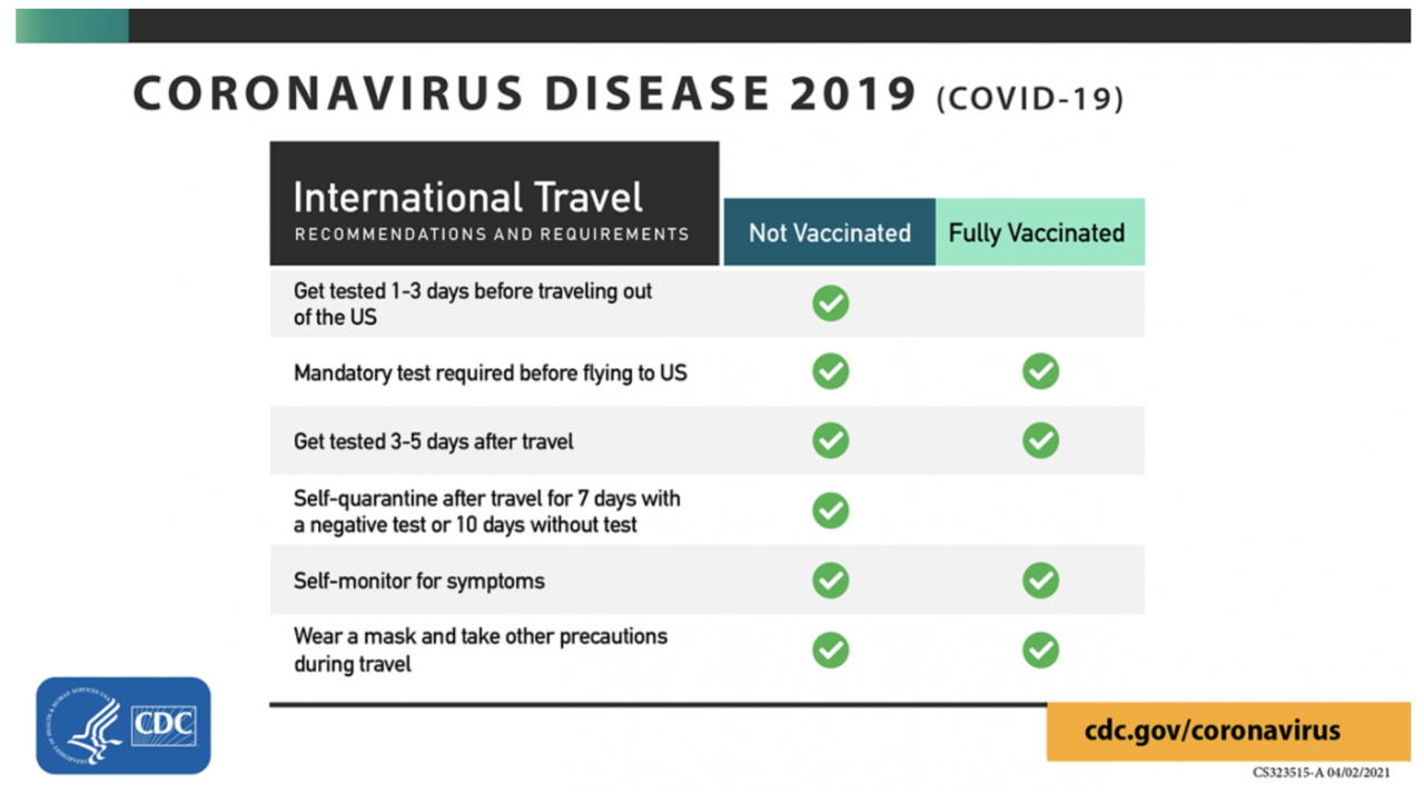 International Travel infographic.png