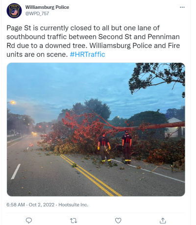 Tree downed in Williamsburg 