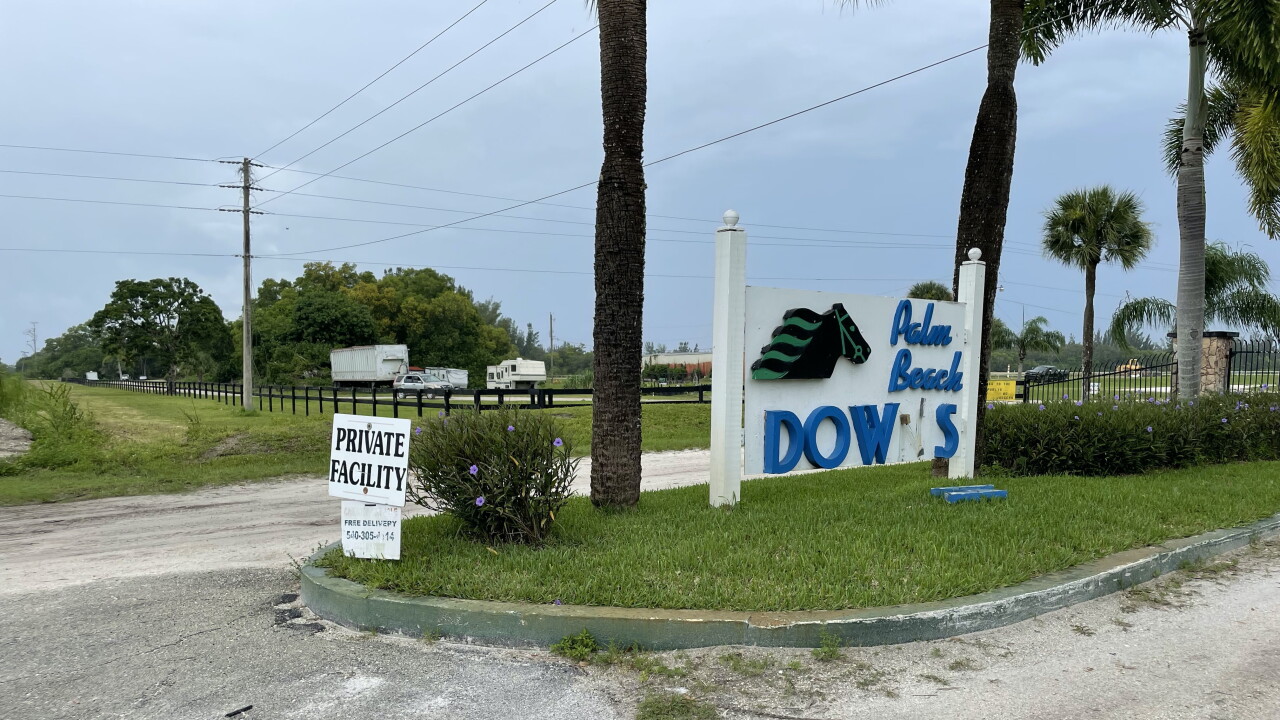 Palm Beach Downs equestrian facility where small plane crashed