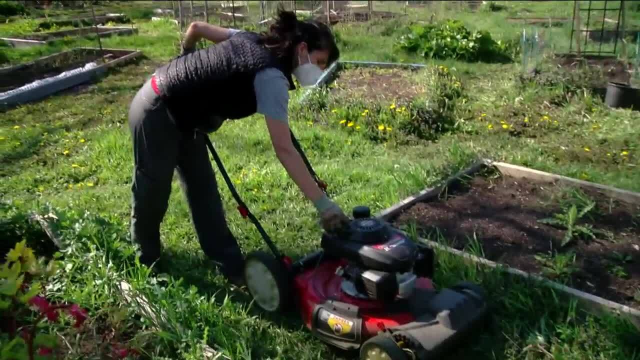 Poster image - 2021-07-07T190715.611.jpg