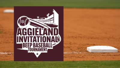 Beep Baseball tournament